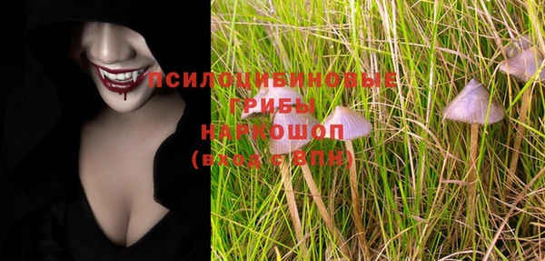 прущие грибы Алексеевка