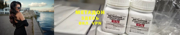 прущие грибы Алексеевка