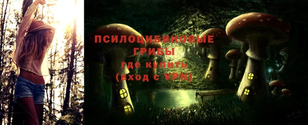 прущие грибы Алексеевка