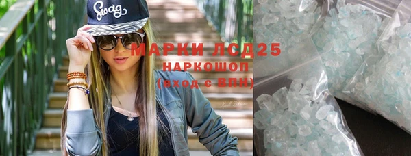 прущие грибы Алексеевка
